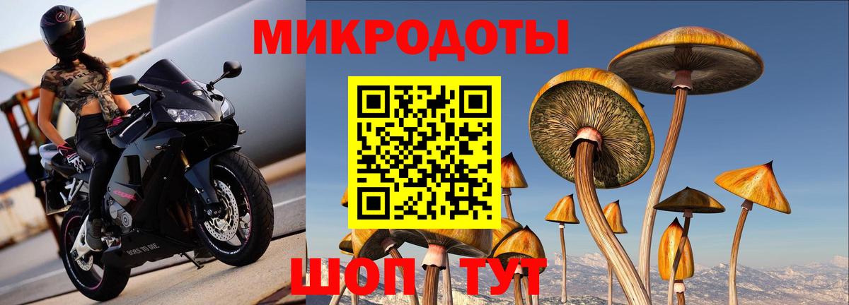Псилоцибиновые грибы ЛСД Новочеркасск